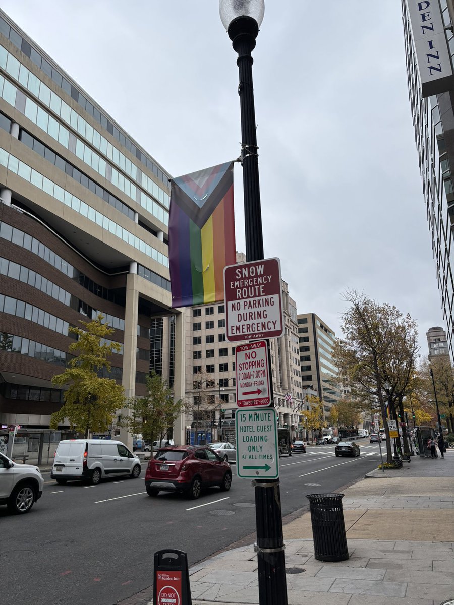 brysonjs's tweet image. These are the flags on the lampposts lining the streets of our nation’s capitol. 🇺🇸 would be more suitable.