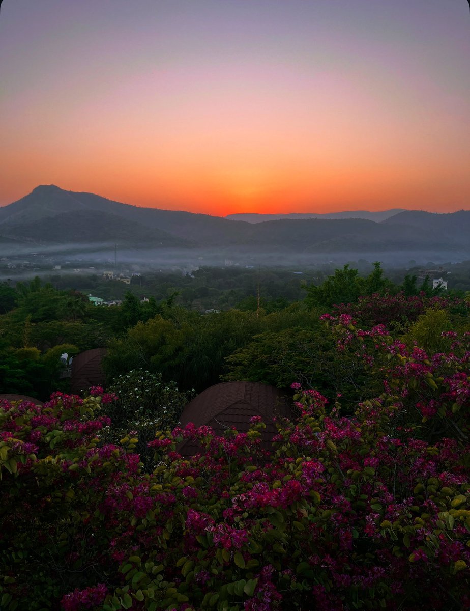 safalniveshak's tweet image. With love, from Udaipur, India. ❤️