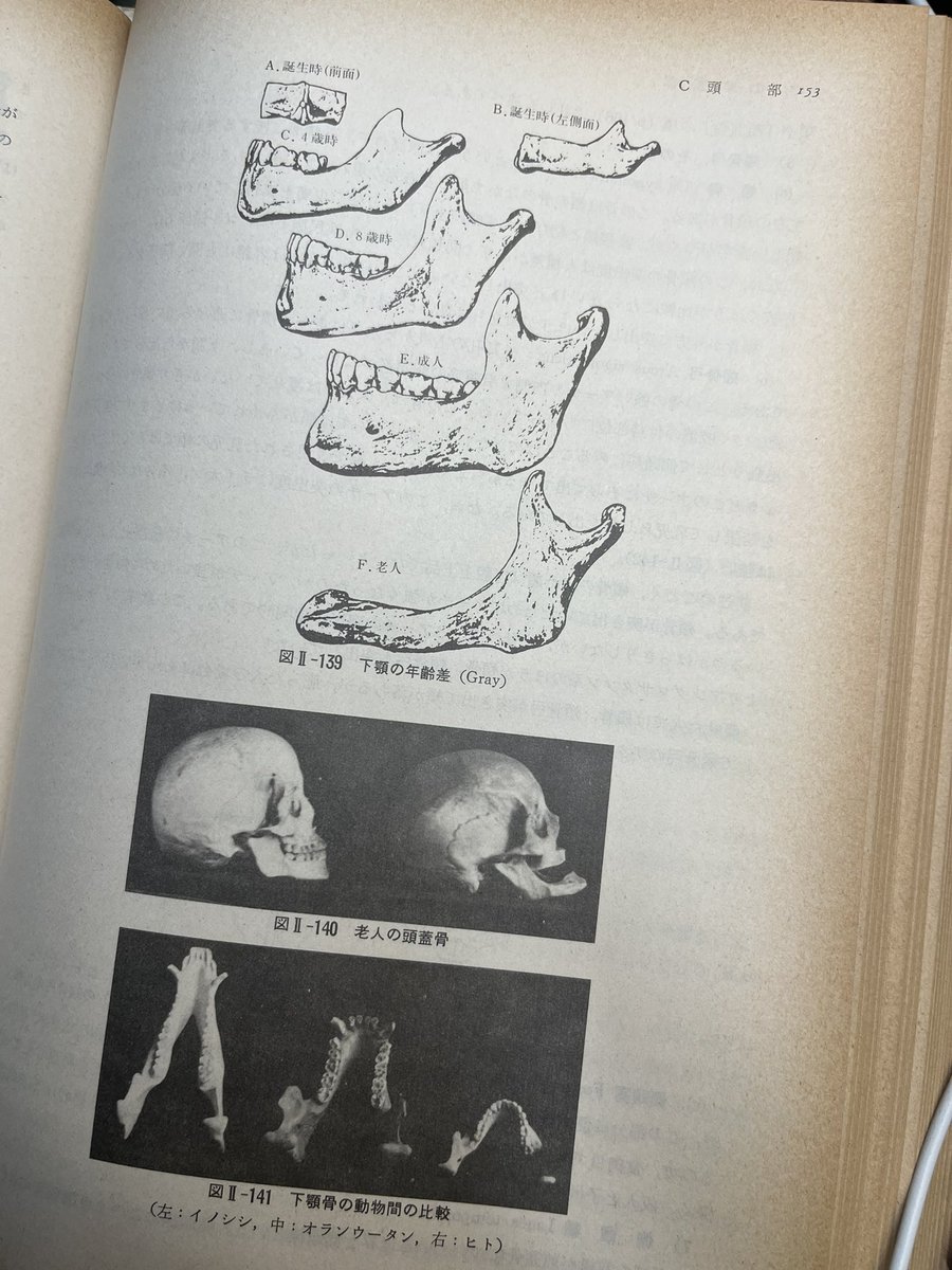 かにぱん王者(2Kダウンコンバート) (@BreadGrub) / Posts / X