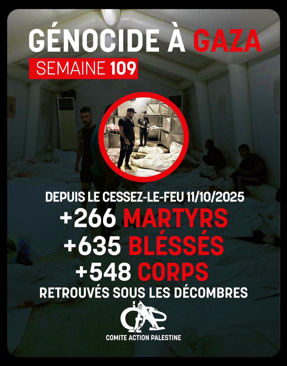 ComiteAction's tweet image. 1/4 GÉNOCIDE À GAZA
Semaine 109 
Depuis le cessez-le-feu du 11 octobre 2025, l’occupation a tué 266 civils, blessé 635 personnes et 548 corps ont été retrouvés sous les décombres.
Plus de 1 500 bâtiments civils détruits, y compris bien au-delà de la « ligne jaune »⤵️
#Gaza