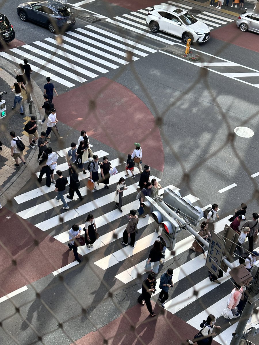 thirdeyehound's tweet image. seeing a lot of japan on my tl today it's my turn