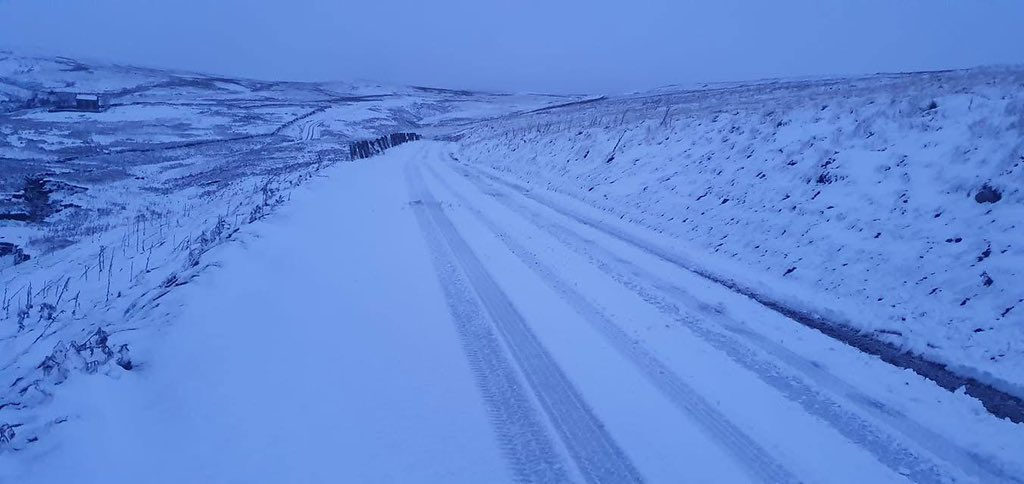 lispbiftatits's tweet image. 