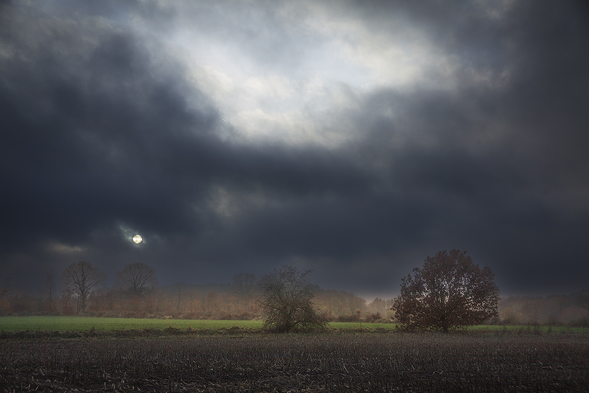 Dorfphotograph (@dorfphotograph) on Twitter photo 