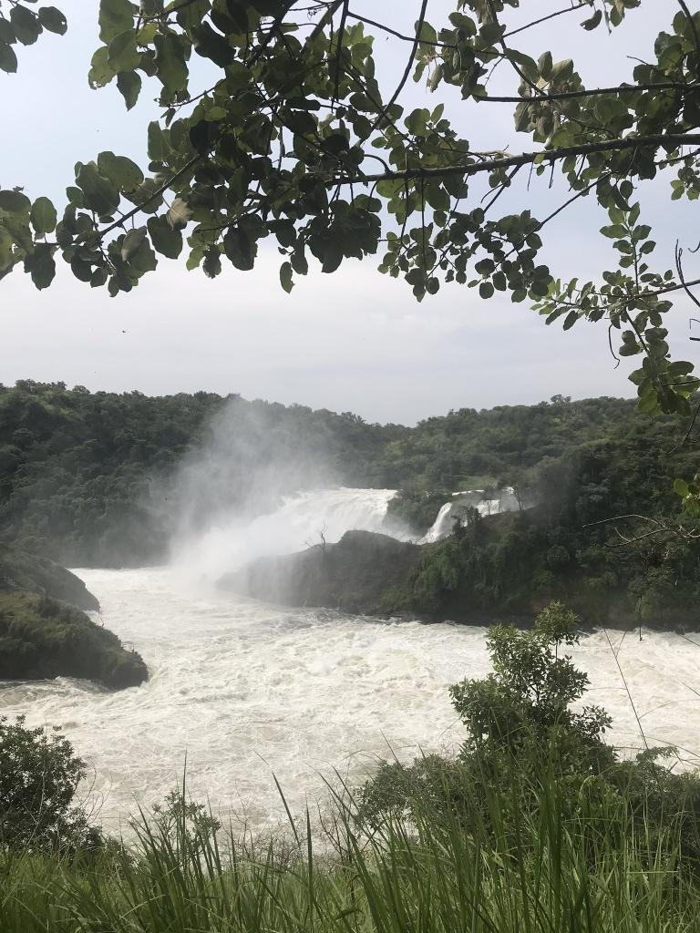 GideonSsekidde's tweet image. En route to Murchison Falls NP — where the Big 5 meet the world’s most powerful waterfall, _Kabalega Falls!_
Spot lions, elephants, buffalos, leopards &amp;amp; rhinos 🦁🐘🦏.
Feel the roar of Kabalega crashing 43m!.
#GoldenPosts
#MurchisonFalls #KabalegaFalls #BigFive #UgandaWildlife