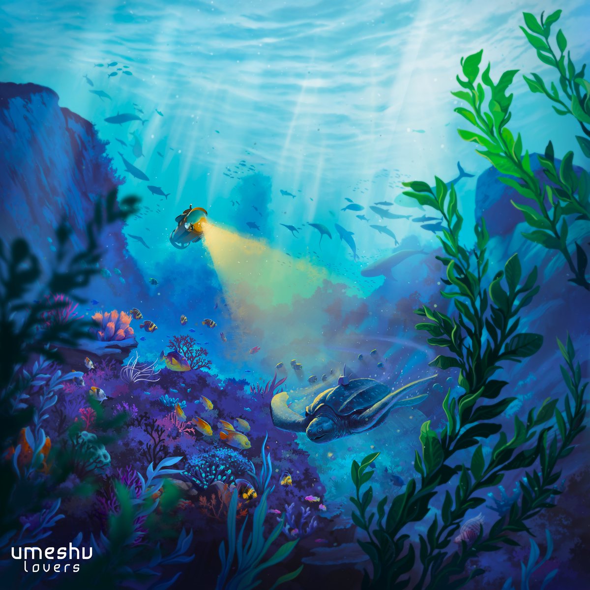 Today we are sharing with you this illustration that was used as a poster for an incredible exhibition at MOBE, the Muséum d'Orléans pour la Biodiversité et l'Environnement. This poster wasn't our only contribution, since we also created several pictures used in the exhibition.