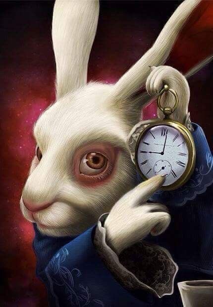 luchiananami_'s tweet image. como se siente ser universitaria a finales de noviembre