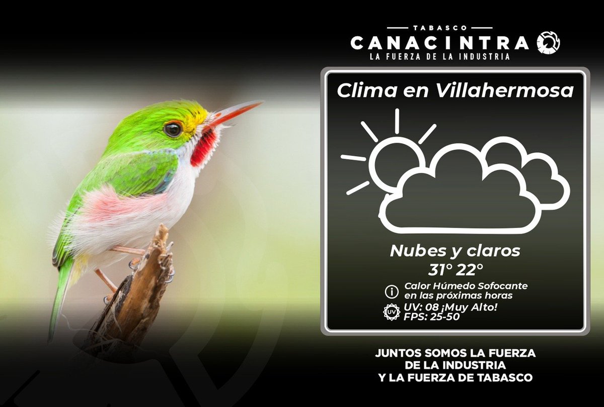 CANACINTRA_Tab's tweet image. #ClimaTabasco
