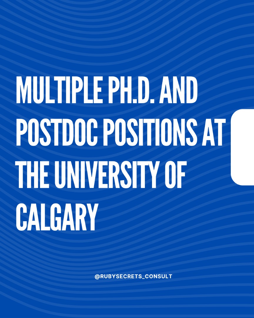 rubysecrets_'s tweet image. Desired Background for Ph.D. students 

• Master&apos;s degree in (applied) mathematics, statistics, operations research, or a math-related field (for the Math &amp;amp; Stats Ph.D. program) 
• Master&apos;s degree in electrical engineering, computer science, data science,