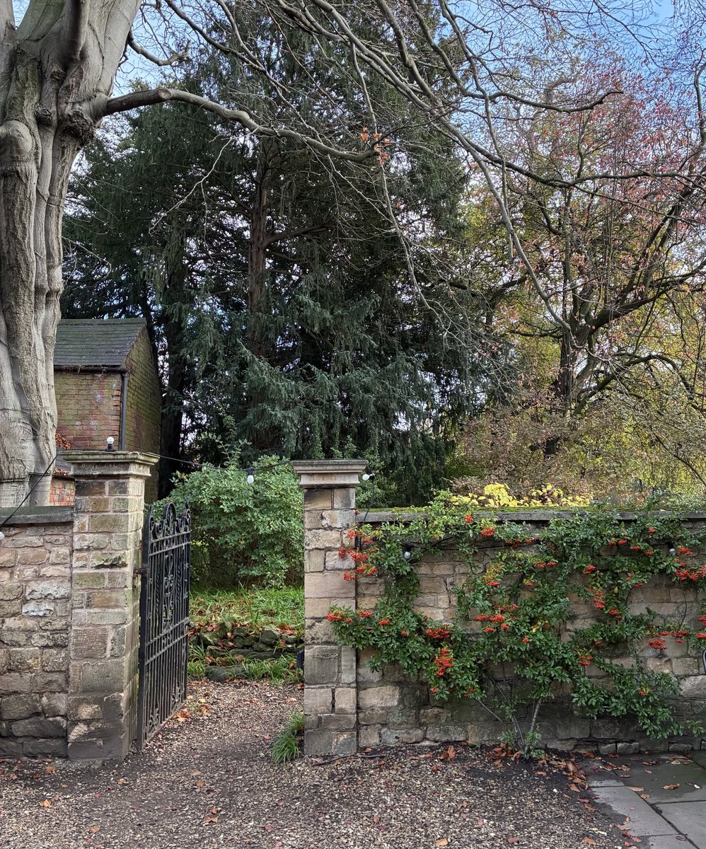 Didn’t we just say hello to November, now it is nearly end of it! Time really flies or December can’t wait to arrive