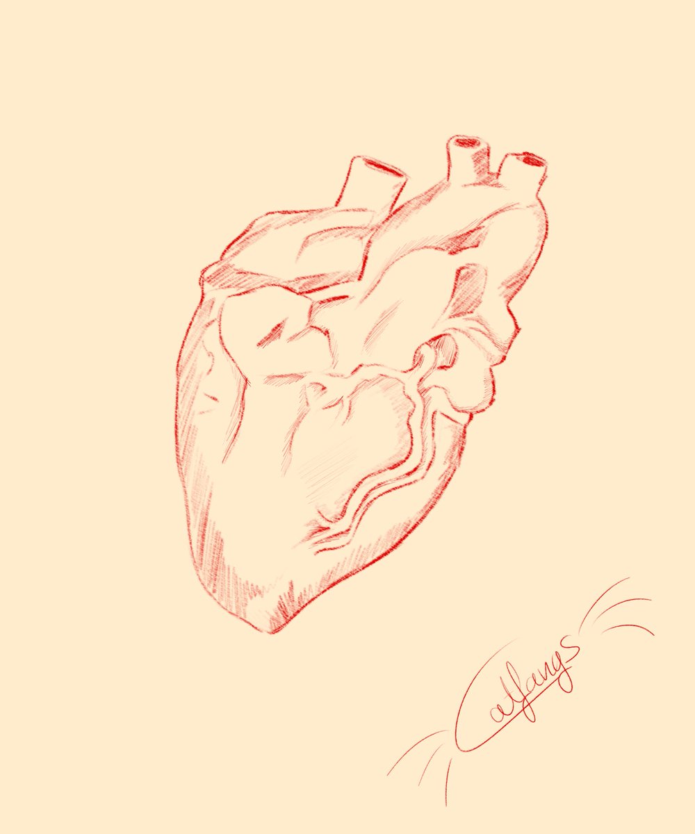 Catfangs😺Comm. OPEN tweet media