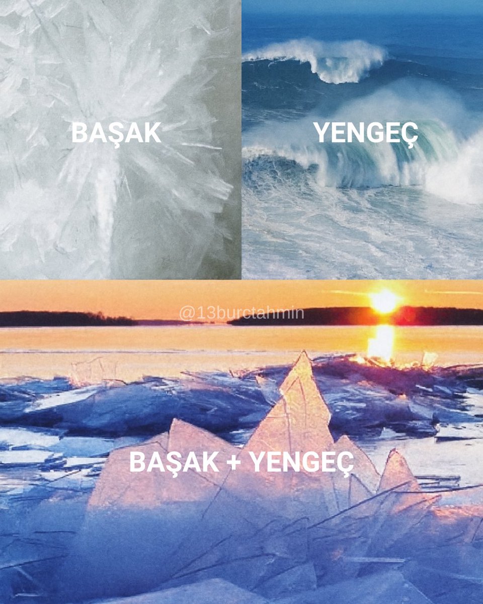 BAŞAK + YENGEÇ