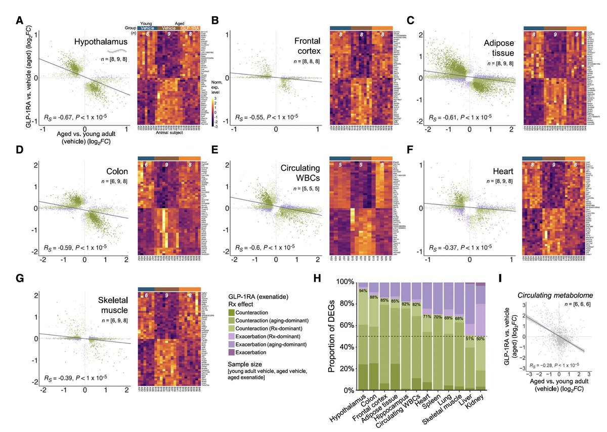 New <a href="/Cell_Metabolism/">Cell Metabolism</a> 
Evidence for GLP-1 drug impact on countering body-wide aging at low doses in aged mice, brain (hypothalamus) dependent, with multi-omic assessment (RNA, methylation, and metabolomics)  
cell.com/cell-metabolis…