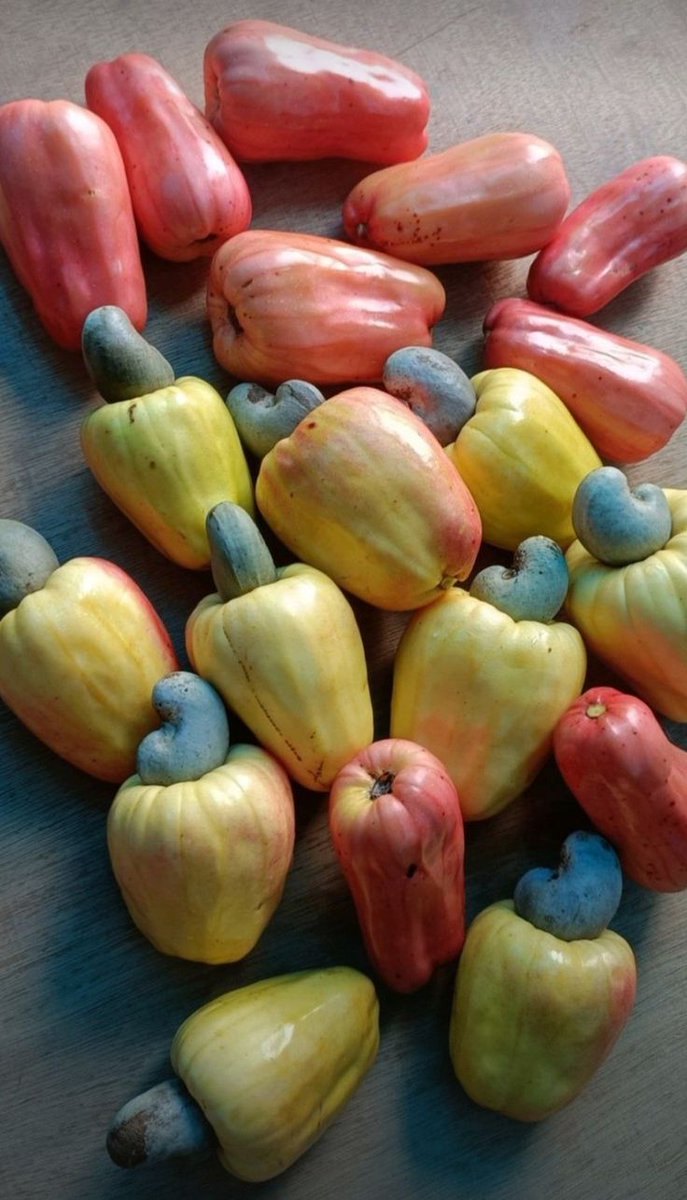 chelsea_olamide's tweet image. &quot;What is your all-time favorite fruit?&quot;🍓🍉🍑🍋
#interactivethread #foodpoll #edtwt