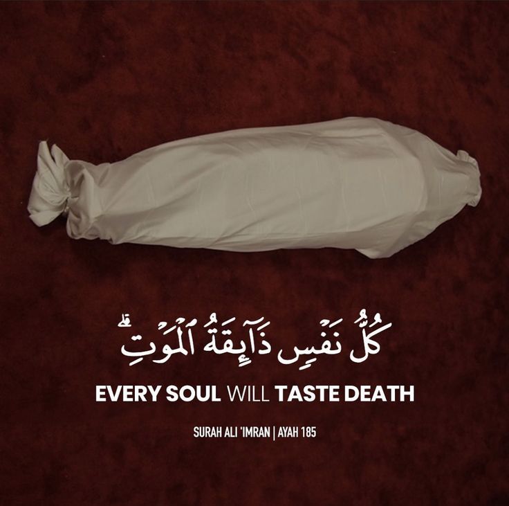 Al_Quran_011's tweet photo. reposts, it will help you🤍🕊️ https://t.co/4yUHQaSIAY