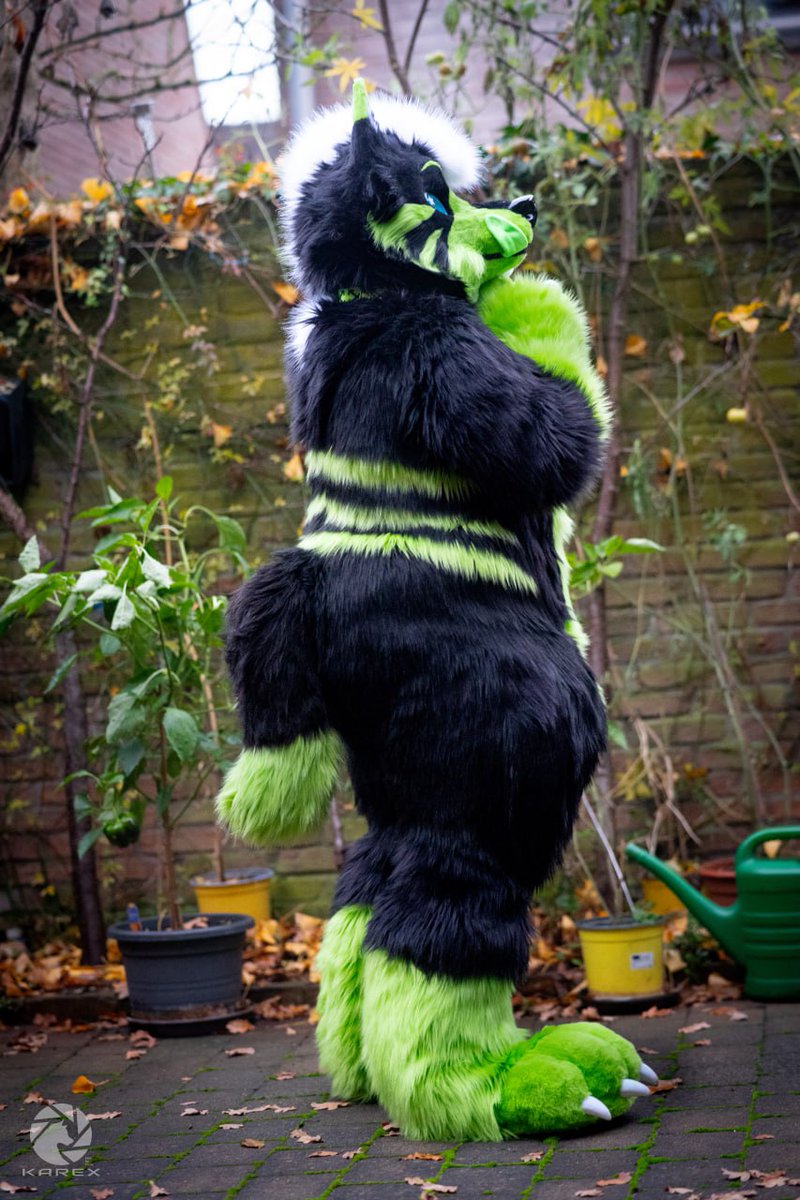 Ferox ✨ 🔜 EAST tweet media