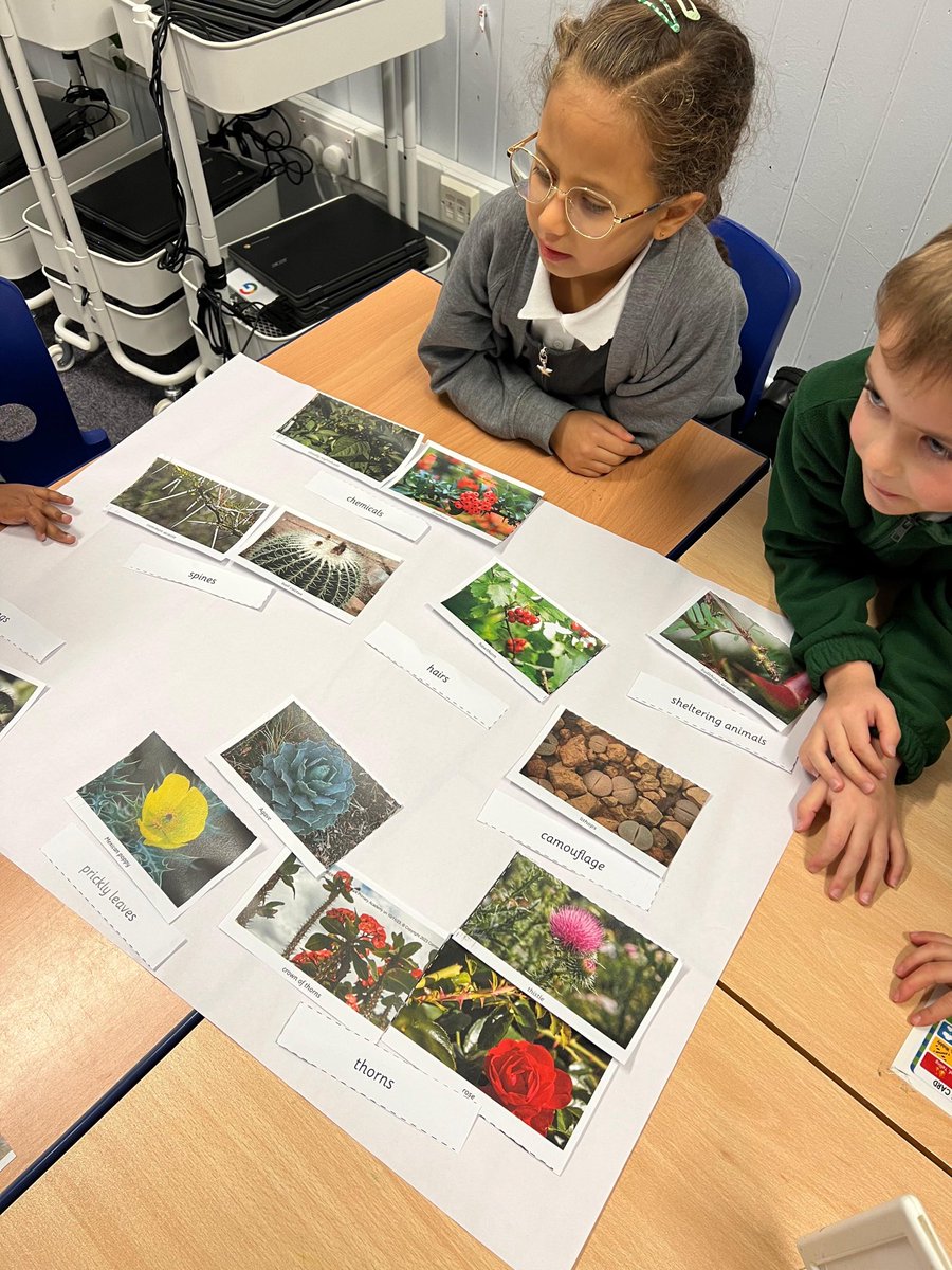 ManorParkSchSM1's tweet image. 🌿 Super Science Lesson in Year 2! 🔬 We&apos;ve been exploring the amazing world of plant adaptations today. The children loved discovering how different plants protect themselves, sorting them into clever categories! From spikes to poisons, nature is incredible! 🌱 #mppascience