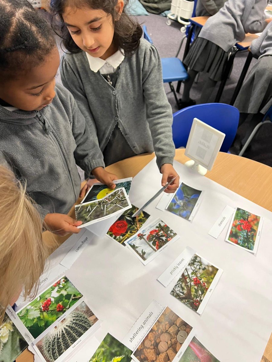ManorParkSchSM1's tweet image. 🌿 Super Science Lesson in Year 2! 🔬 We&apos;ve been exploring the amazing world of plant adaptations today. The children loved discovering how different plants protect themselves, sorting them into clever categories! From spikes to poisons, nature is incredible! 🌱 #mppascience