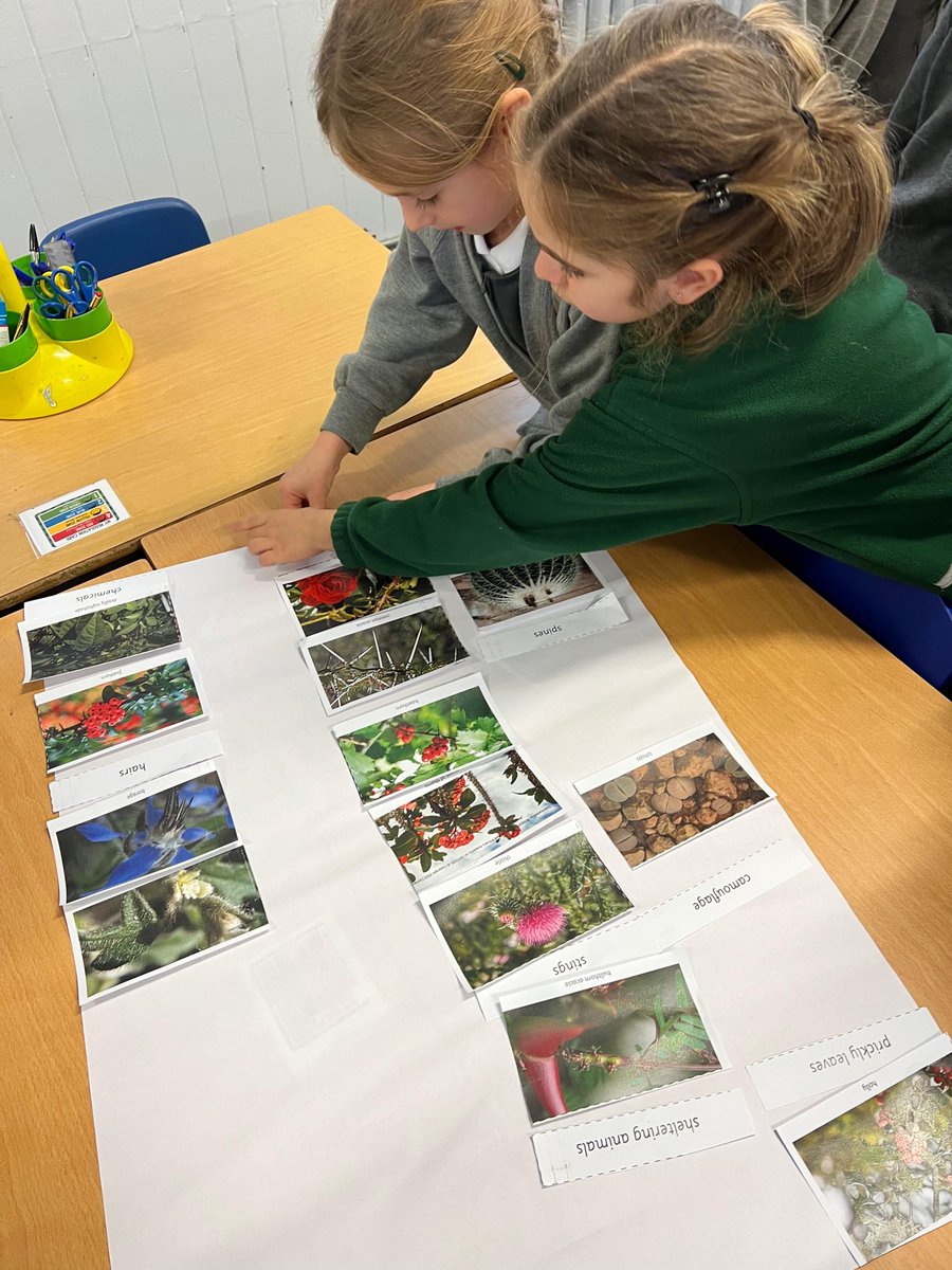 ManorParkSchSM1's tweet image. 🌿 Super Science Lesson in Year 2! 🔬 We&apos;ve been exploring the amazing world of plant adaptations today. The children loved discovering how different plants protect themselves, sorting them into clever categories! From spikes to poisons, nature is incredible! 🌱 #mppascience
