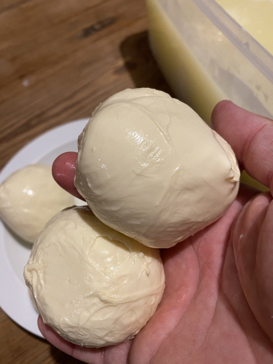 Mozzarellas de fermentación natural recién hechas