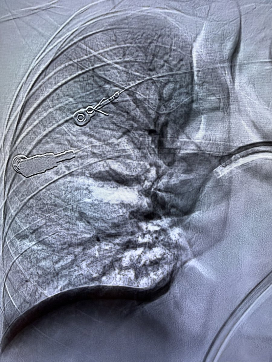 Harris Chengazi tweet media