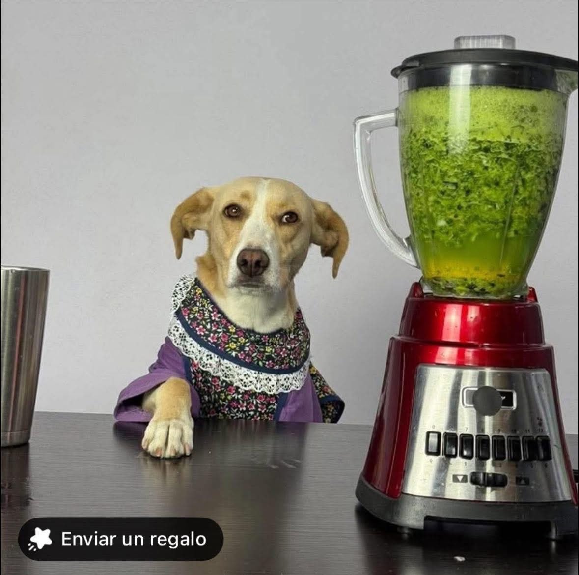 DiloConPerritos's tweet image. Yo viendo la cochinada que me preparé por querer ser fit