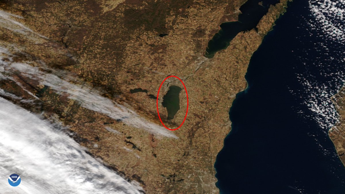 NOAASatellites's tweet image. It&apos;s #WhereInTheWorld Wednesday! 🎉
Today we are featuring this lake that was captured by our #NOAA21 🛰️ as it passed overhead on Nov. 17, 2025.

It is the remnants of an ancient glacial lake and the largest lake located entirely in Wisconsin. It is also a popular fishing spot…