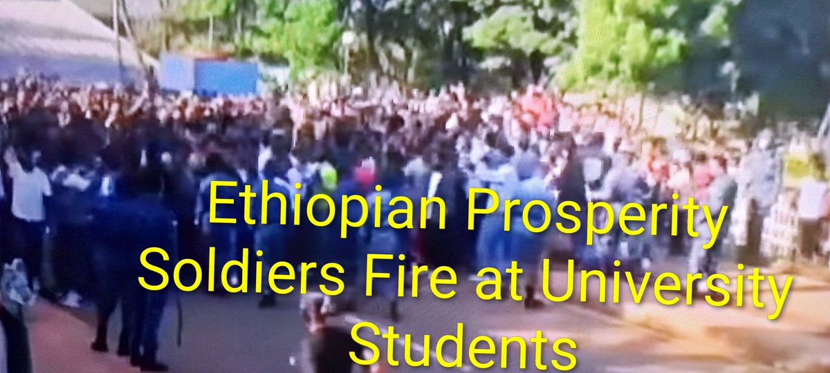 BluenileK's tweet photo. #HumanRights #StudentLife  #CNN #Worlds2025   Ethiopian Prosperity Soldiers Fire at University Students https://t.co/HYAyuEOnC3
