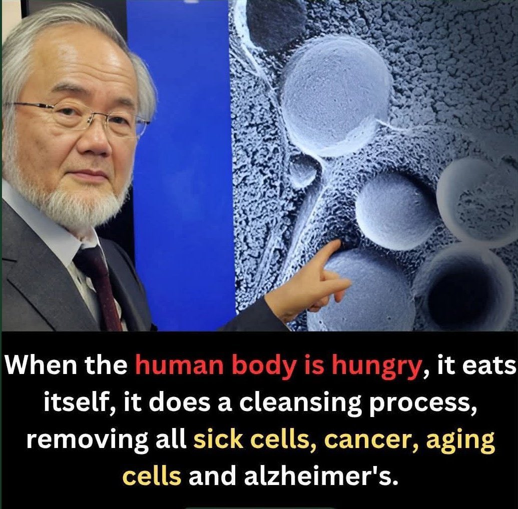 36_cia7's tweet image. One meal a day 

#Autophagy