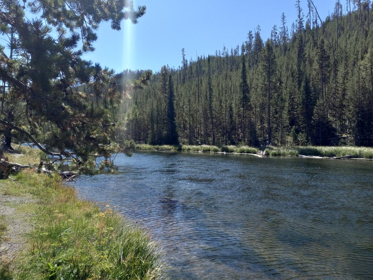 WindroseNotes's tweet image. Education was the Only Way to Change the World.