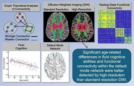 braincomms's tweet image. Merenstein et al. show structural brain connectivity, measured by high-resolution diffusion-weighted MRI, improved predictions of age-related alterations in brain function and cognitive performance, relative to standard spatial resolution. buff.ly/0IOgtRX 
 @j_merenstein