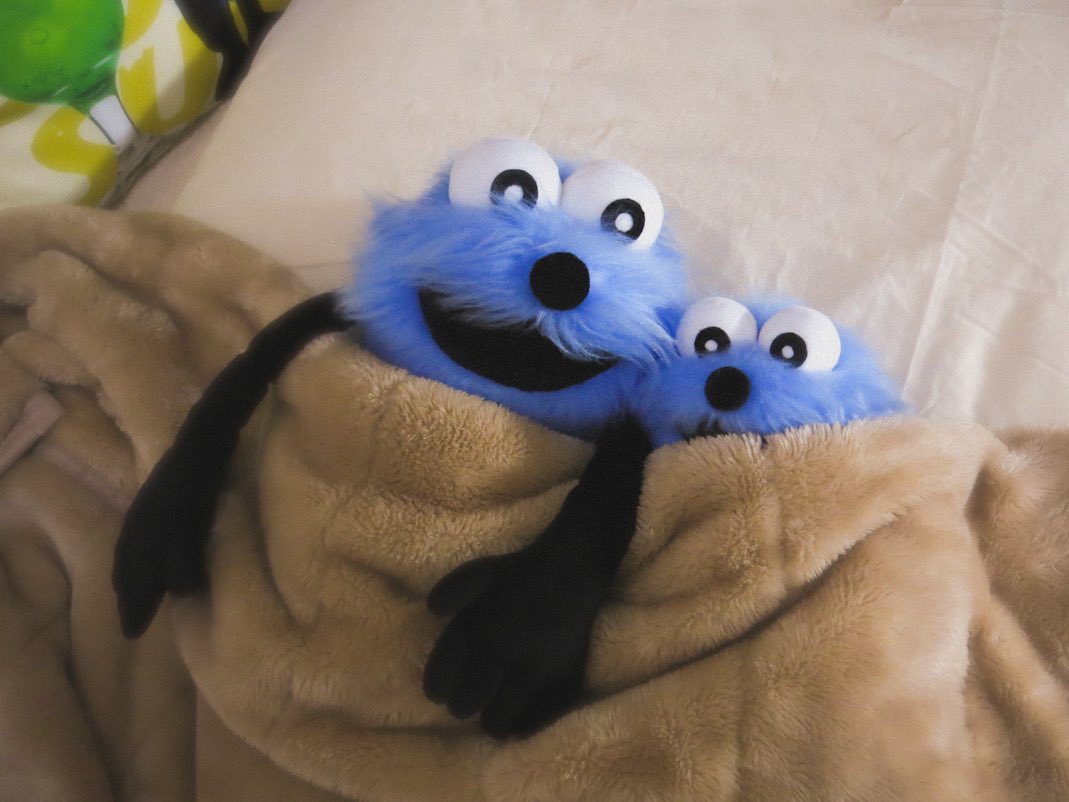 おやすみなさーい🌙

#パペットスンスン