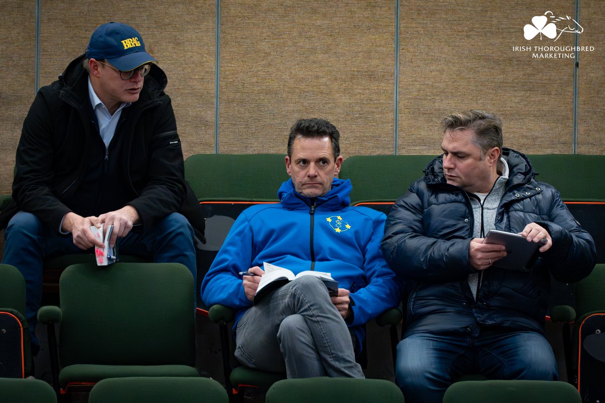 IREthoroughbred's tweet image. International buying bench bringing some major energy to @Goffs1866 November. 🌍⚡️🇮🇪

📖 Foals 17-20 Nov: bit.ly/4q2tUUn
📖 Mares 21-22 Nov: bit.ly/4nMKJ4f