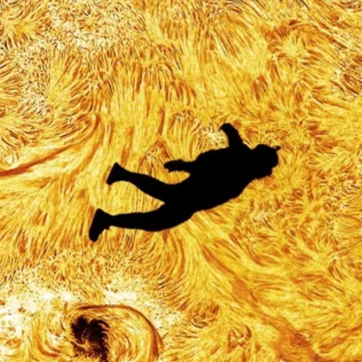 RussellBal's tweet image. falling with style during global &amp;amp; solar system pole shift. flap your wings Icarus. unemployed, uncanny, unpopular, underdogs.