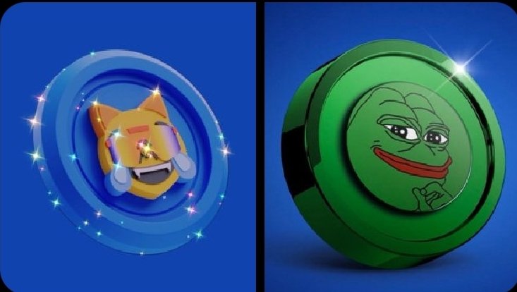 LoveCryptoGems's tweet image. $MOG 🫵😹    💛💚    $PEPE 👑🐸