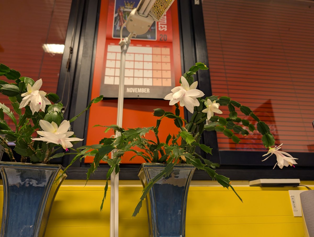 i_m_benjamin's tweet image. Ноябристы на работе расцвели.