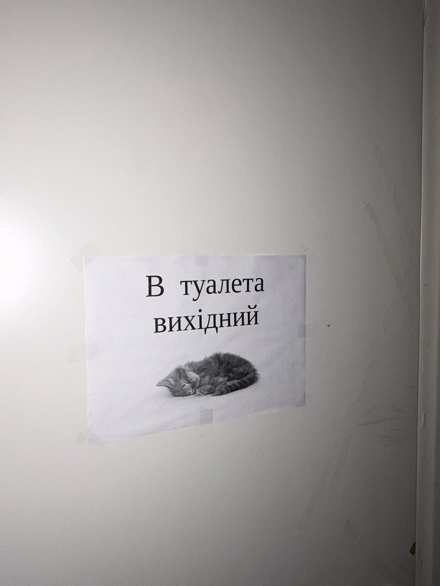 MeisenRuby's tweet image. 🥺🥺