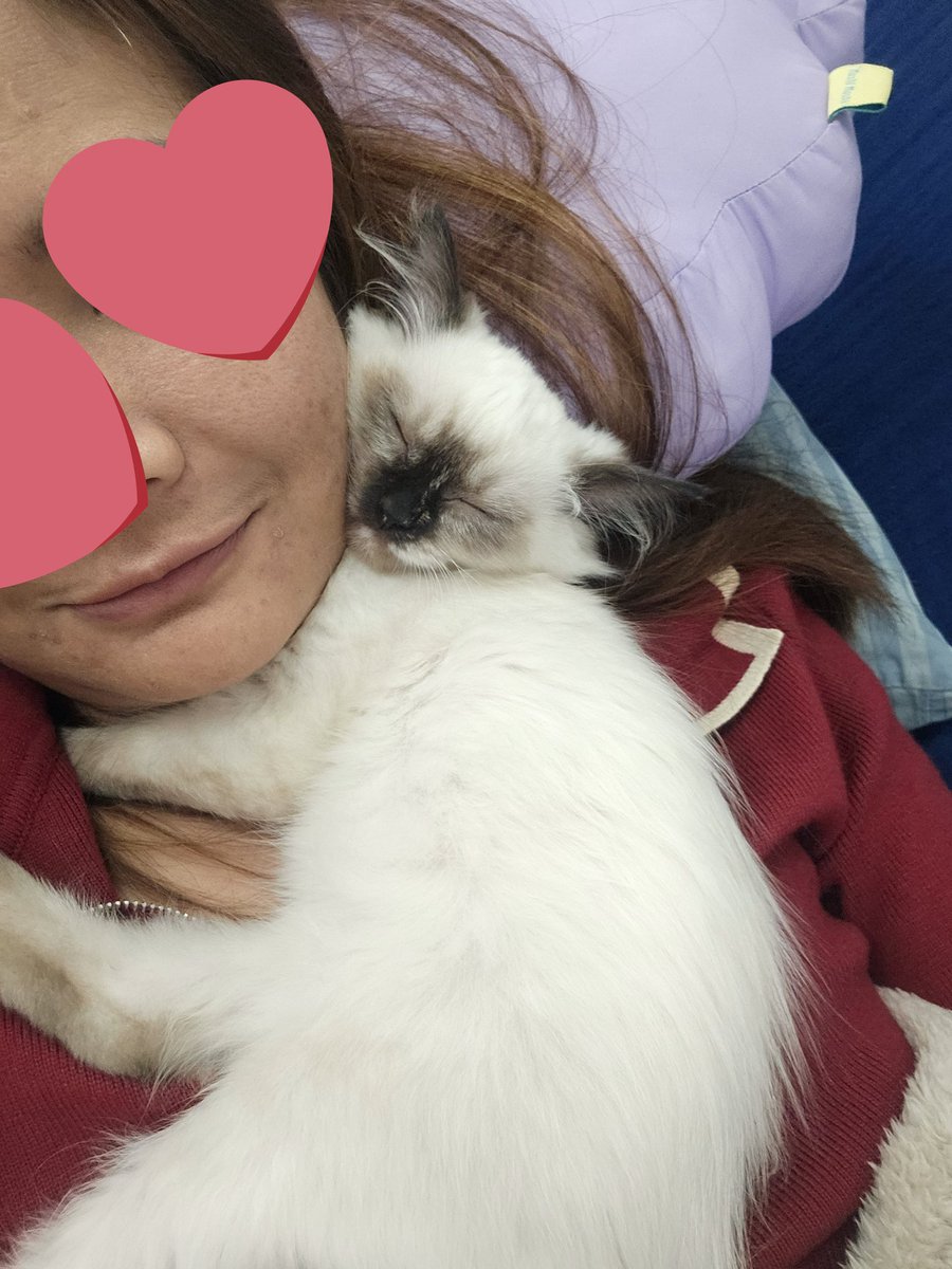 Jirap_tu's tweet image. คิดถึงกันมากแหละ
โดนอ้อนหนักมาก