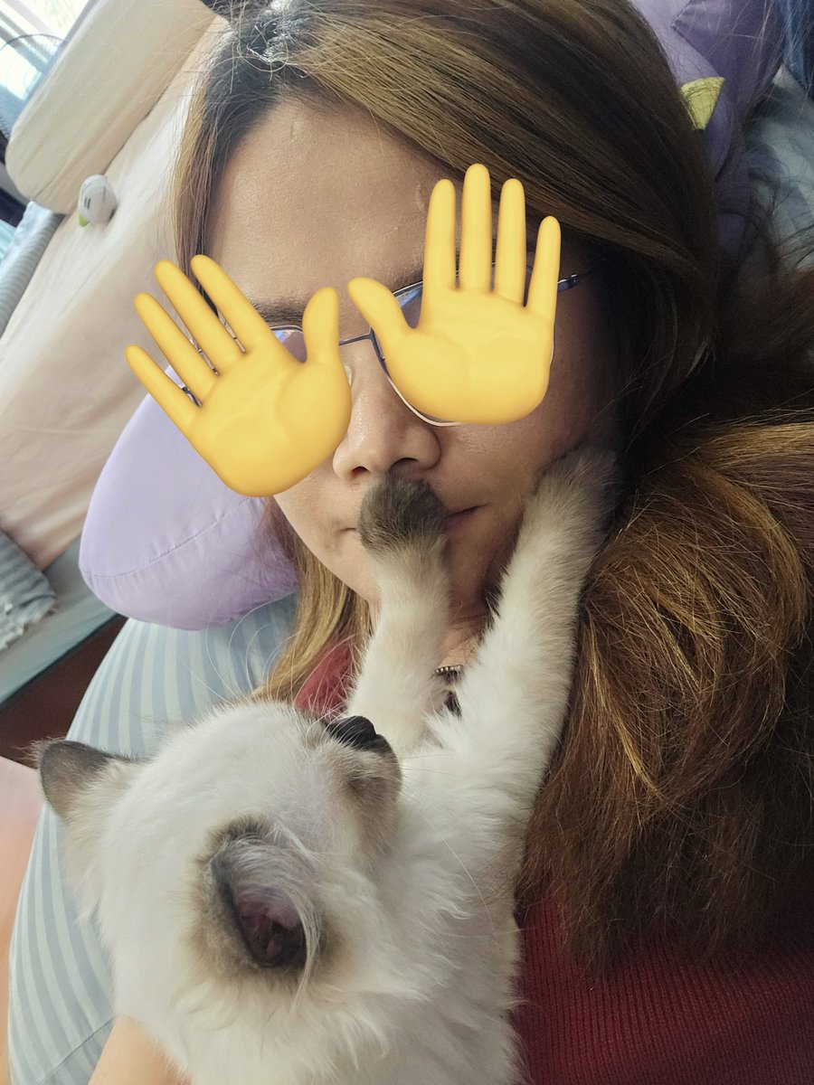 Jirap_tu's tweet image. คิดถึงกันมากแหละ
โดนอ้อนหนักมาก