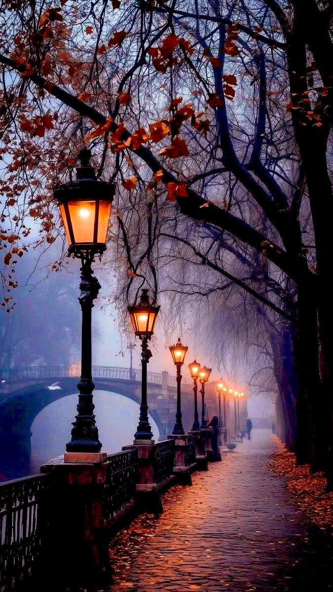 💫❤️ Beautiful evening  💫❤️