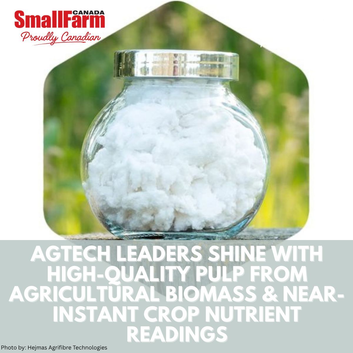 Agtech Leaders Shine with High-quality pulp from agricultural biomass.

Using up to 60% less water and 85% less energy, the company eliminates harsh chemicals, offering a greener alternative for manufacturing industries. 

See this new innovation ⤵️ 

smallfarmcanada.ca/news/agtech-le…