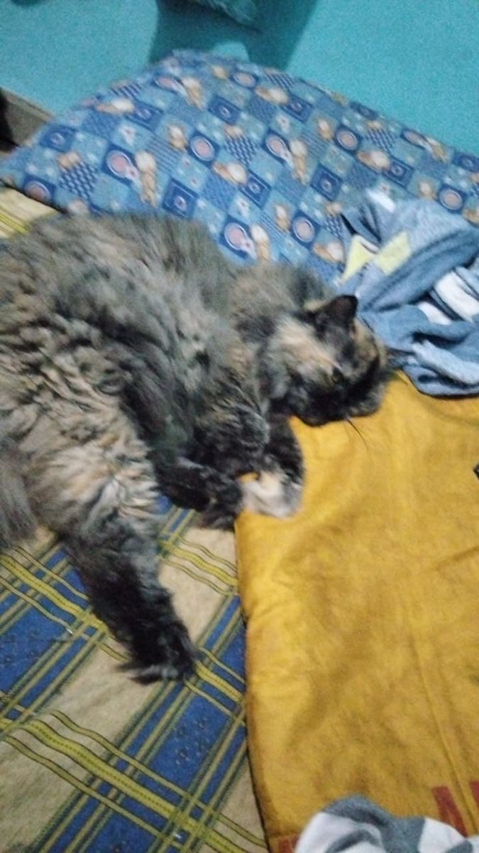 tau kan ini tandanya apa? 🥹🥹