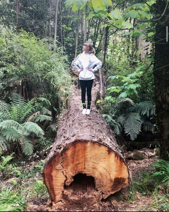 Taylors_Archive's tweet image. Taylor and Travis’s first photo together in 2018