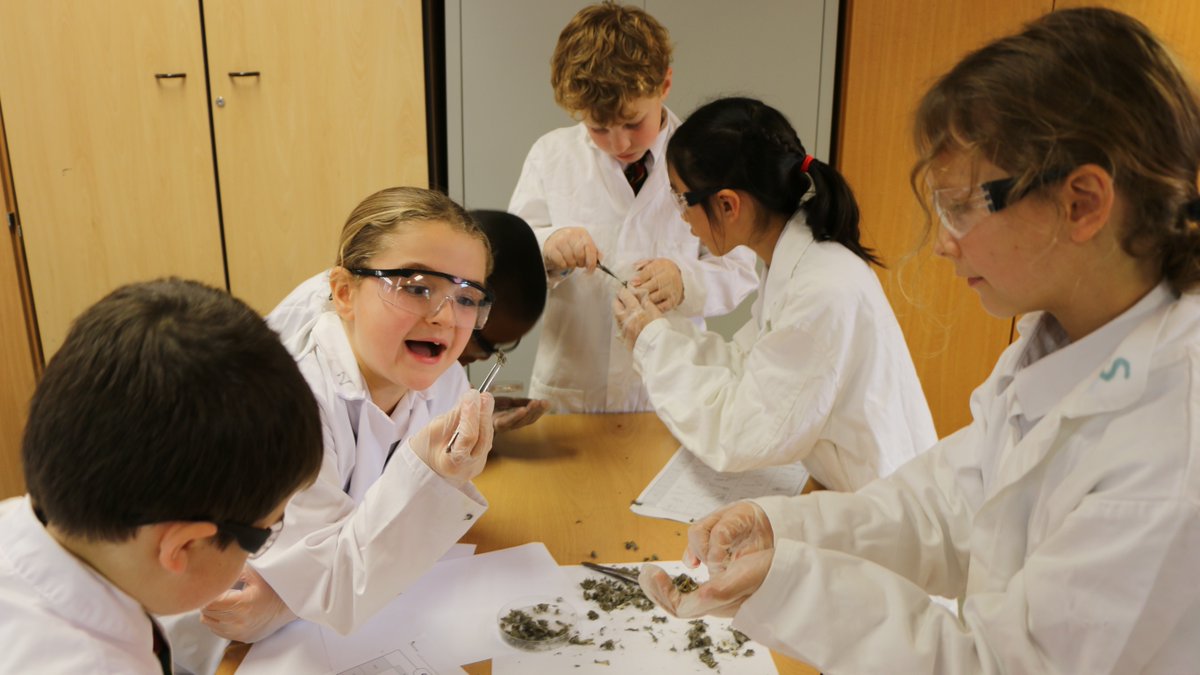 AshvilleCollege's tweet photo. Our Year 4 pupils loved dissecting owl pellets in their Science lesson. A brilliant hands-on lesson full of curiosity and discovery.

#Ashville #Year4 #PrepSchool #ScienceLesson #HandsOnLearning #Harrogate #NorthYorkshire #Yorkshire https://t.co/3n9LpIl6dg