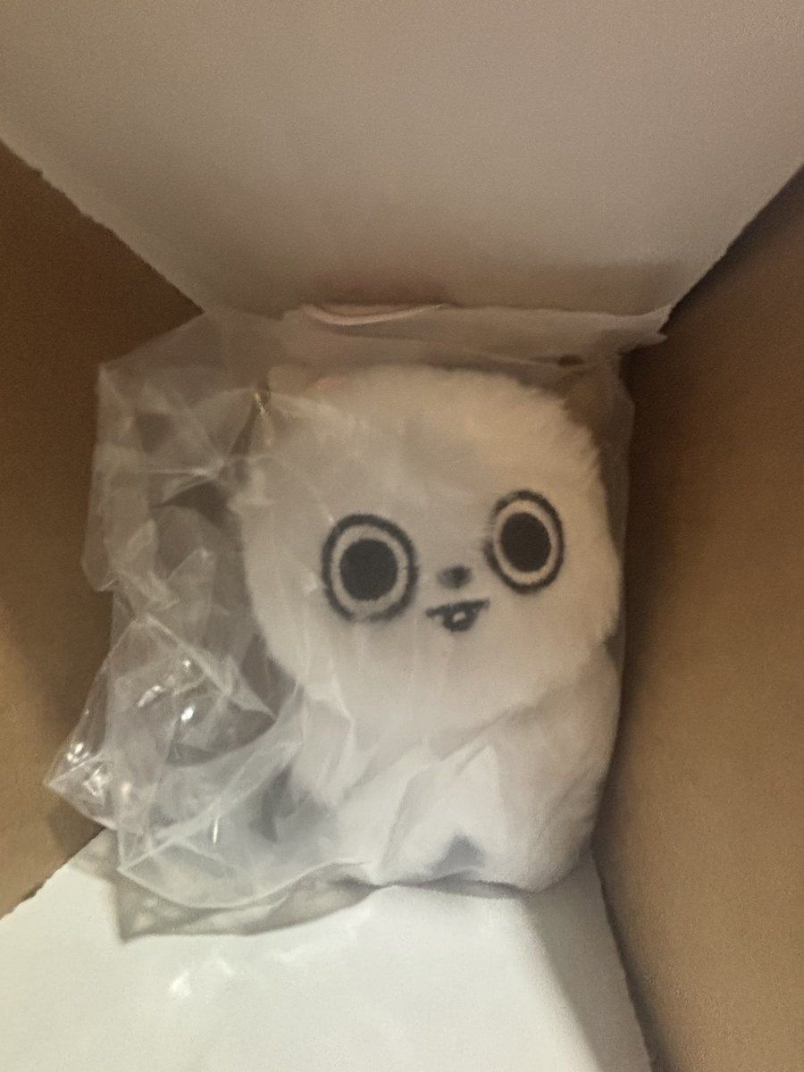O_O