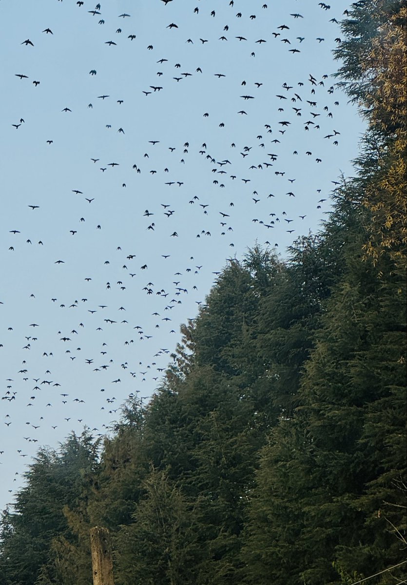 A breathtaking moment from the skies of Kupwara