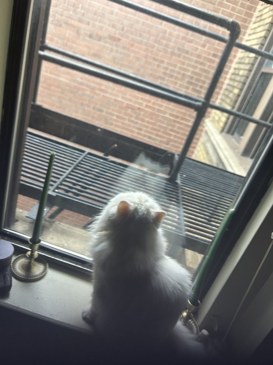 d1v1n3yay's tweet image. discovering new places to watch the birds