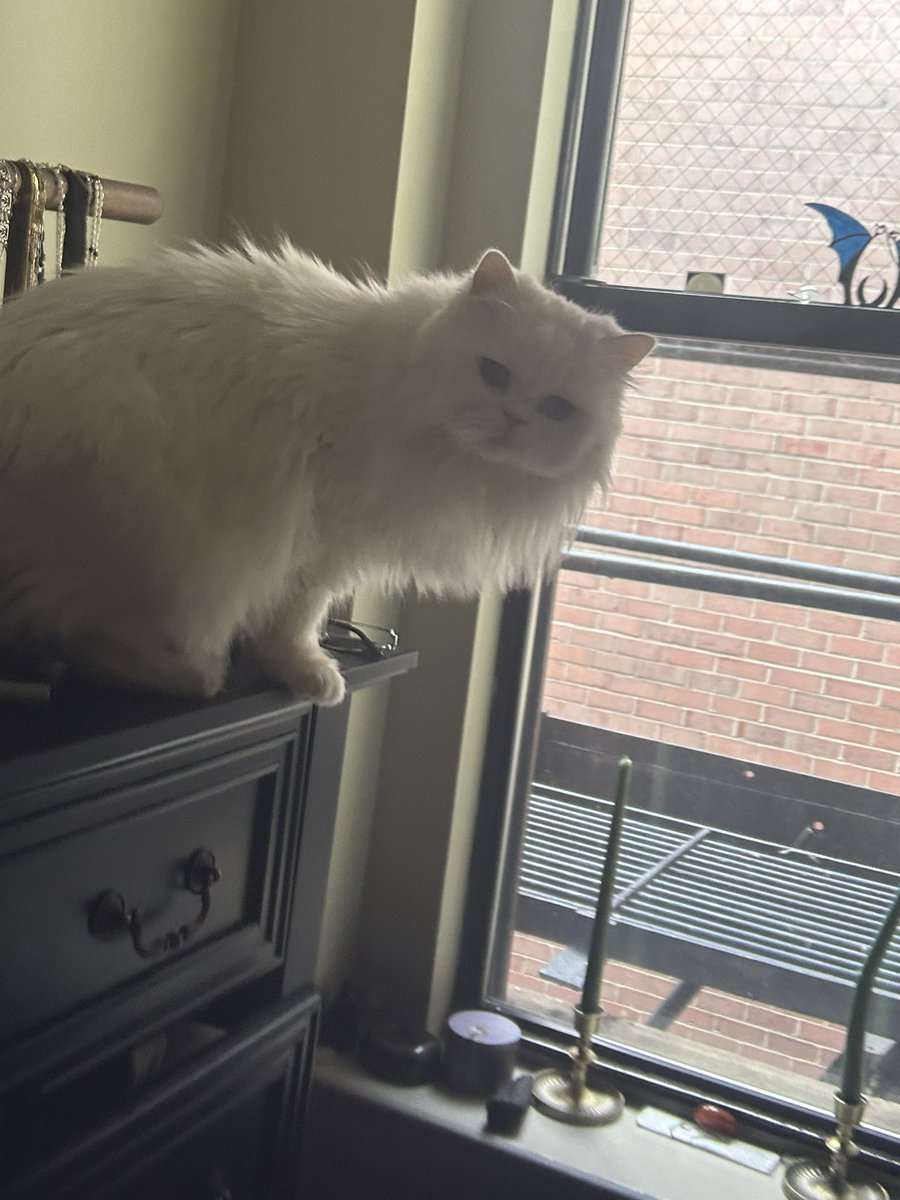 d1v1n3yay's tweet image. discovering new places to watch the birds