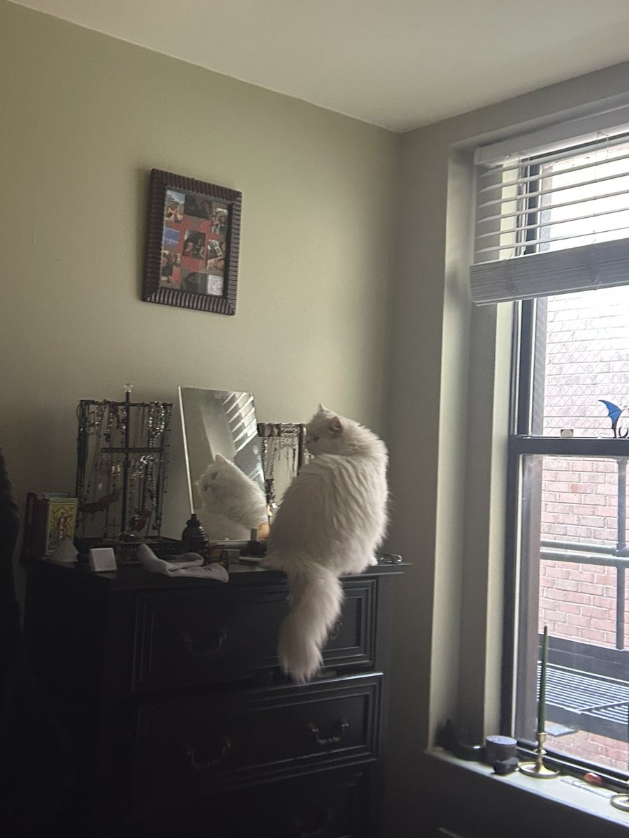 d1v1n3yay's tweet image. discovering new places to watch the birds