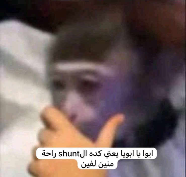 وانا فى اعدادي وثانوي كانت الرياضة اكتر مادة بحبها وكنت بستنى الاسئلة الصعبة عشان احلها
انا دلوقتى قدام محاضرة ال congential heart diseases بقالي اسبوع