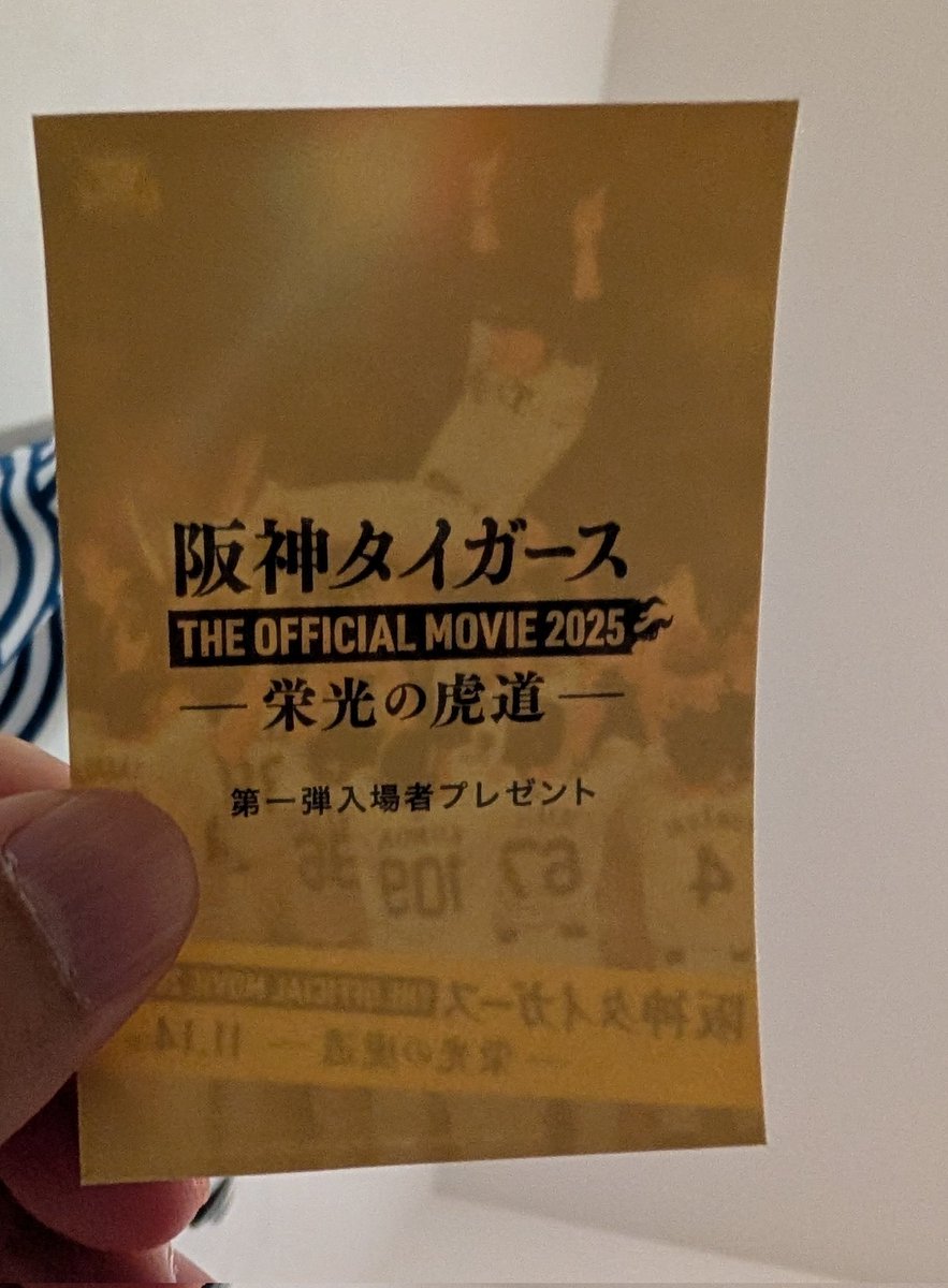 阪神タイガース
ムービー

藤川阪神
優勝の意味と理由が少しわかりました！